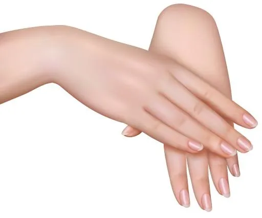 指甲 PNG免抠(5997x4993)