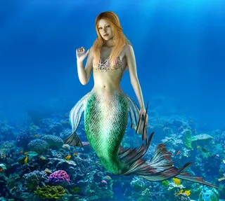 海底美人鱼图片