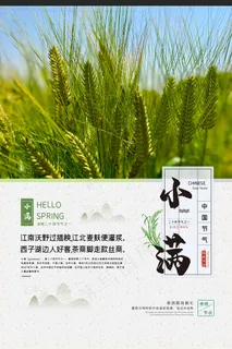 清新二十四节气小满节日海报 清新二十四节气小满节日海报