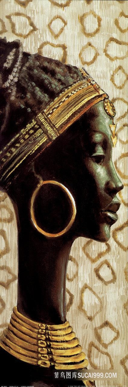 贵妇黑人唯美插画