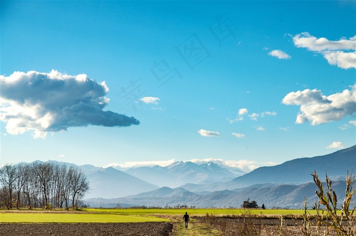 一个人行走在绿色的田野里