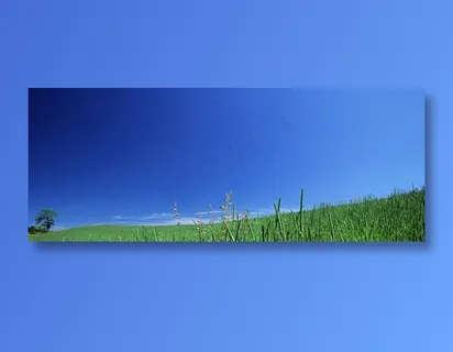 蓝色天空下的青草地 蓝色天空下的青草地