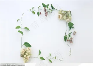 相框边框-鲜花组成的边框