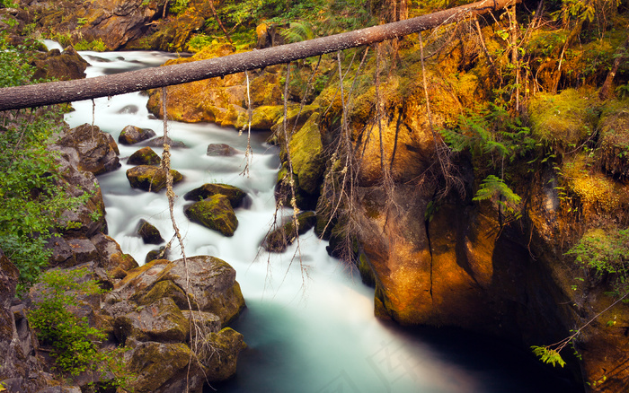 绿色 树林 丘陵 风景高 河流山川 