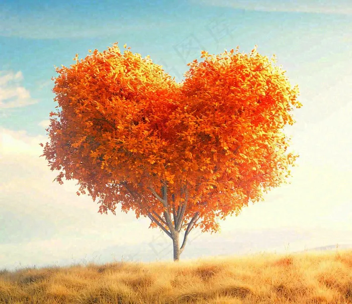 秋天爱心树木橙红色落叶蓝天温馨(1184x1024)