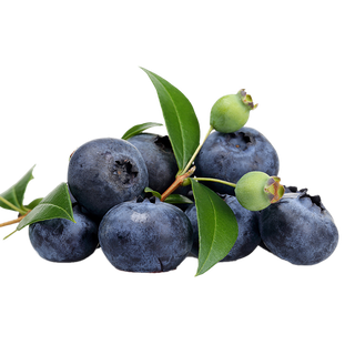 76蓝莓 (3)水果超市商品白底图免抠实物摄影png格式图片透明底