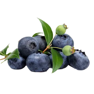 76蓝莓 (3)水果超市商品白底图免抠实物摄影png格式图片透明底