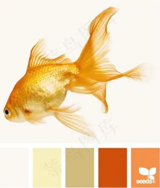 动物配色色卡色彩搭配