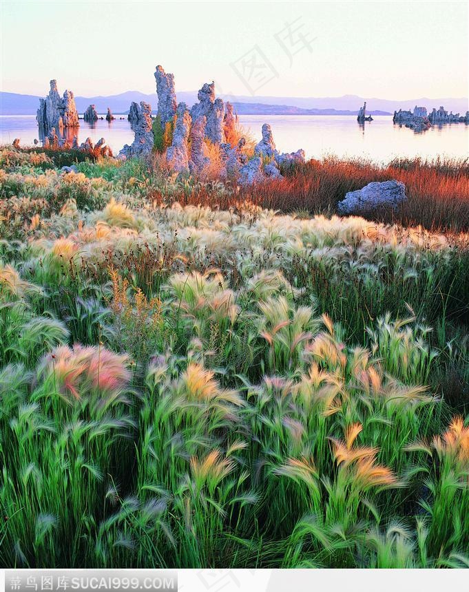 美景