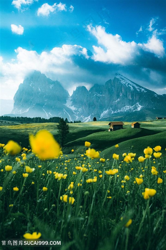 绿色春天原野风景图片