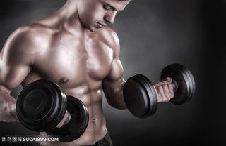 男人肌肉男健美举哑铃高清图片