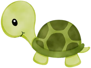 乌龟绿色卡通