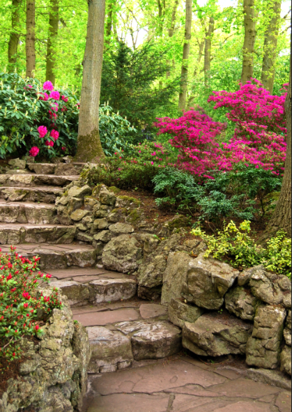 林木花卉小路玄关