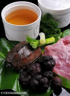松露炖草龟的美食图片