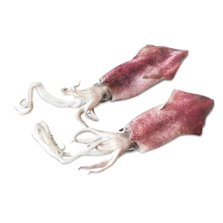 头足类(20)海鲜超市商品红酒白底图免抠实物摄影png格式图片透明底