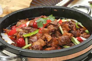 红汤滋补草原鸭 (2)