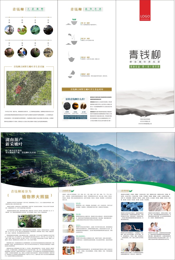青钱柳-三折页cdr矢量模版下载