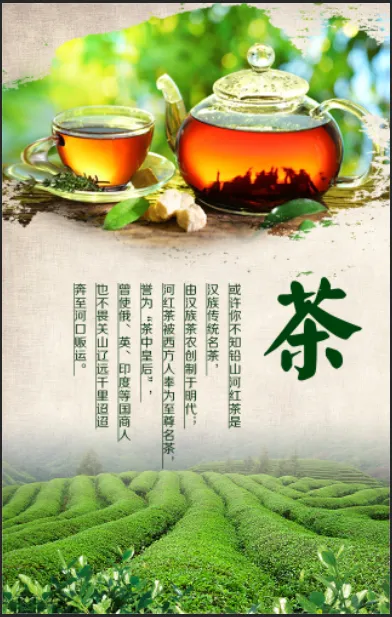 绿色古风红茶海报psd模版下载