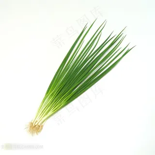 新鲜蔬果高清素材 新鲜蔬果高清素材