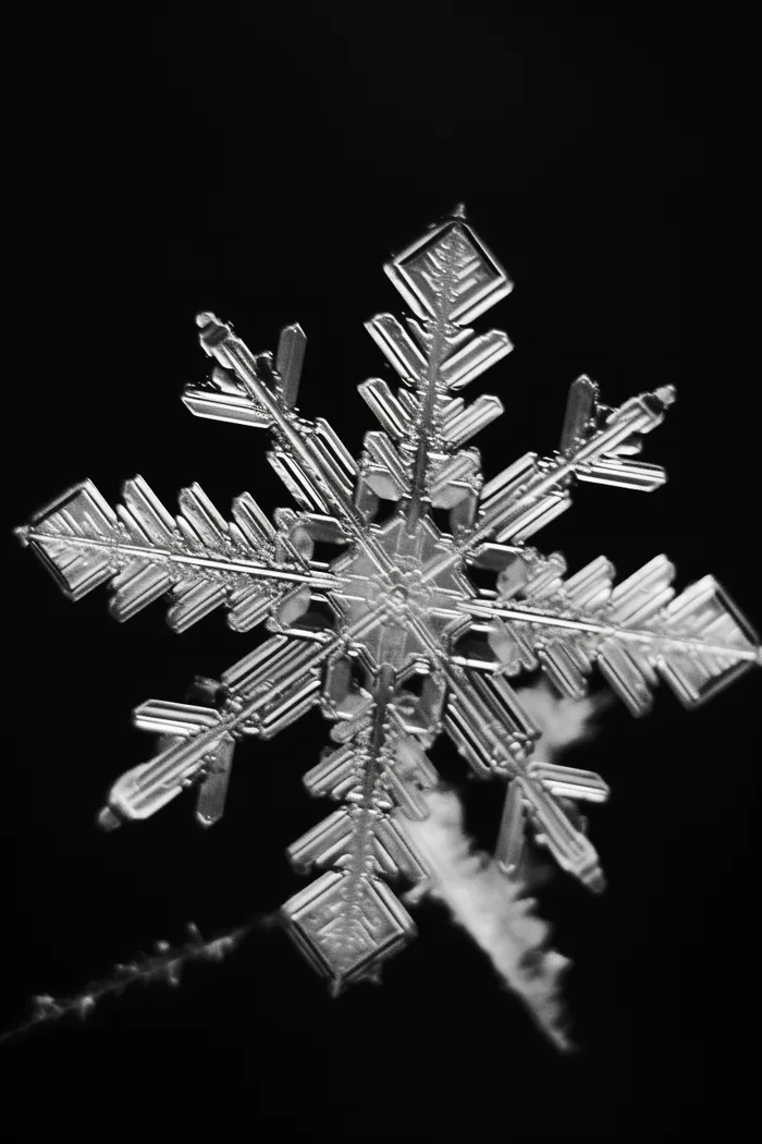 雪花白雪冬天摄影图