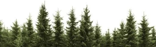 森林 PNG免抠(1235x374)