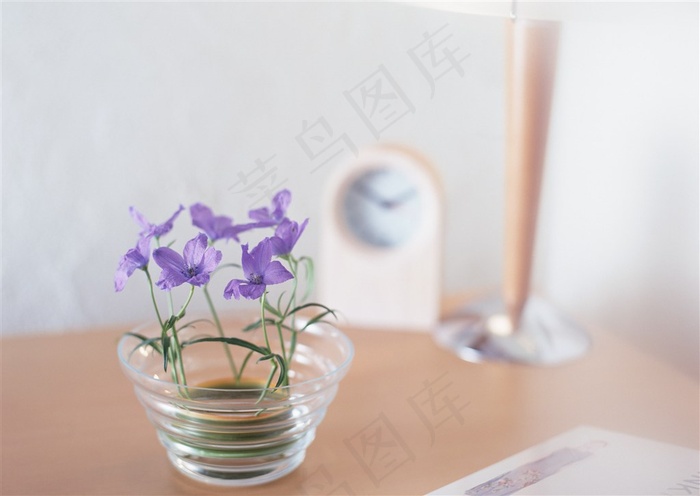 紫色碎花玻璃瓶现代简约插花装饰室内家居图片素材