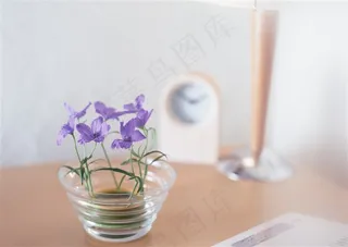 紫色碎花玻璃瓶现代简约插花装饰室内家居图片素材