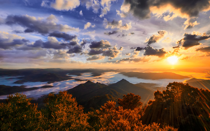 绿色 树林 丘陵 风景高 河流山川