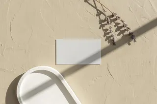 文艺光影单张名片样机