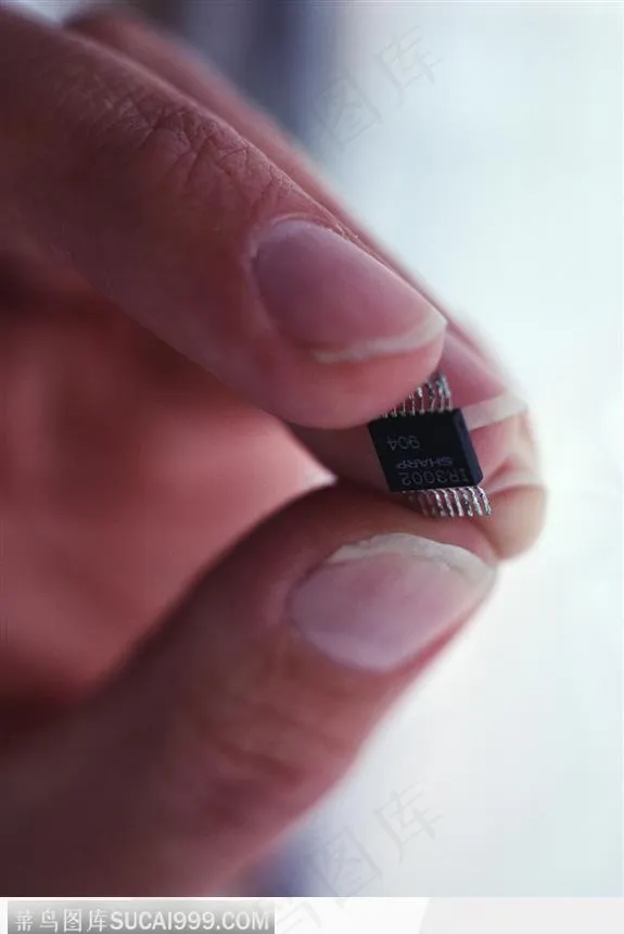 芯片 手