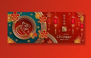 虎年图案创意矢量素材