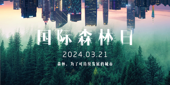 创意绿色国际森林日展板psd模版下载