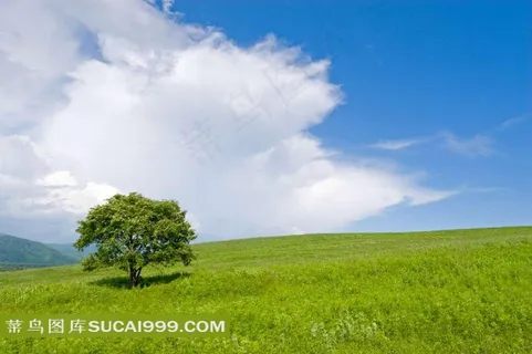 高清绿色草原图片下载 高清绿色草原图片下载