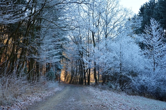 冬天白雪背景风景