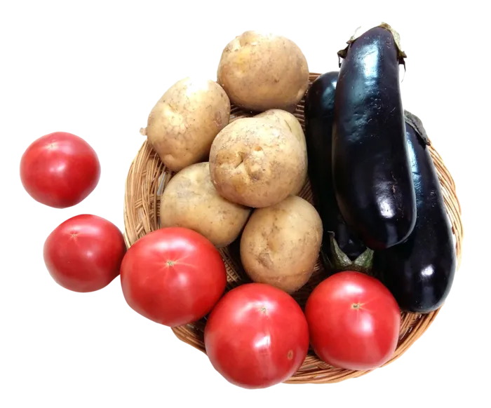 西红柿土豆茄子