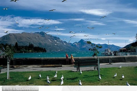 小鸟 蓝天 湖水 旅游