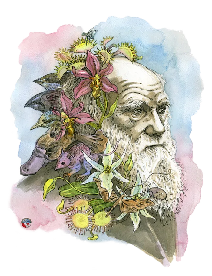 素描老人卡通古典少儿兴趣班