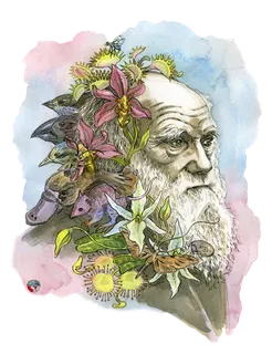 素描老人卡通古典少儿兴趣班