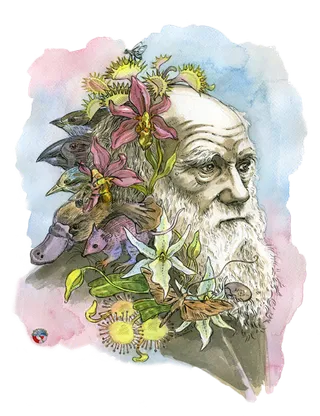 素描老人卡通古典少儿兴趣班