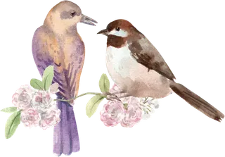 插画春鸟免抠素材