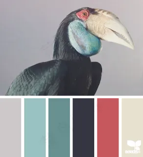 家禽鸟类配色色卡色彩搭配