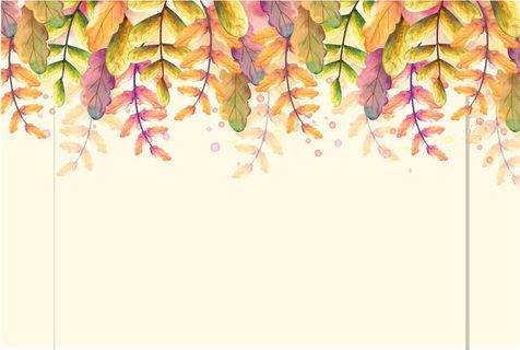 秋季叶子各种颜色