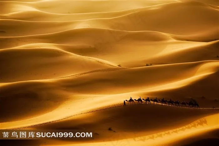 高清黄沙沙漠素材风景图片