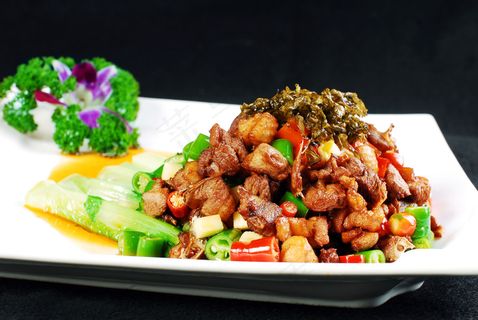 DJCC-8800碧绿馋嘴鸭