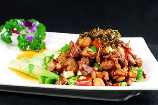 DJCC-8800碧绿馋嘴鸭