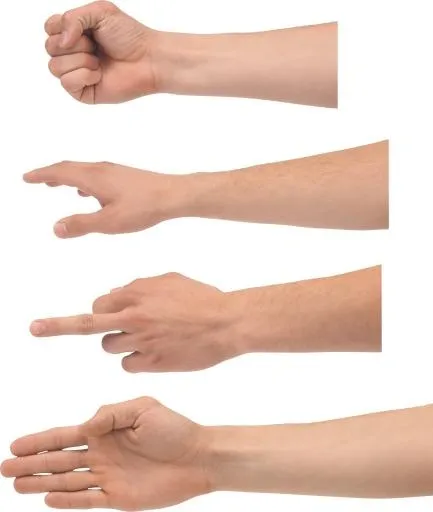 手 PNG免抠(2735x3229)