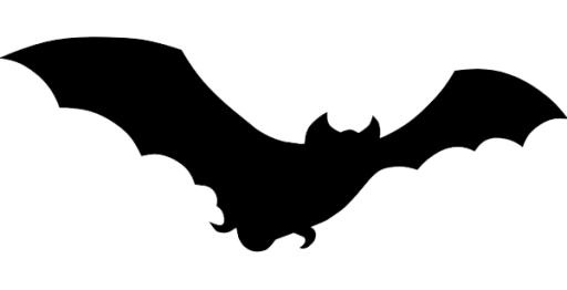 蝙蝠 PNG(600x308)