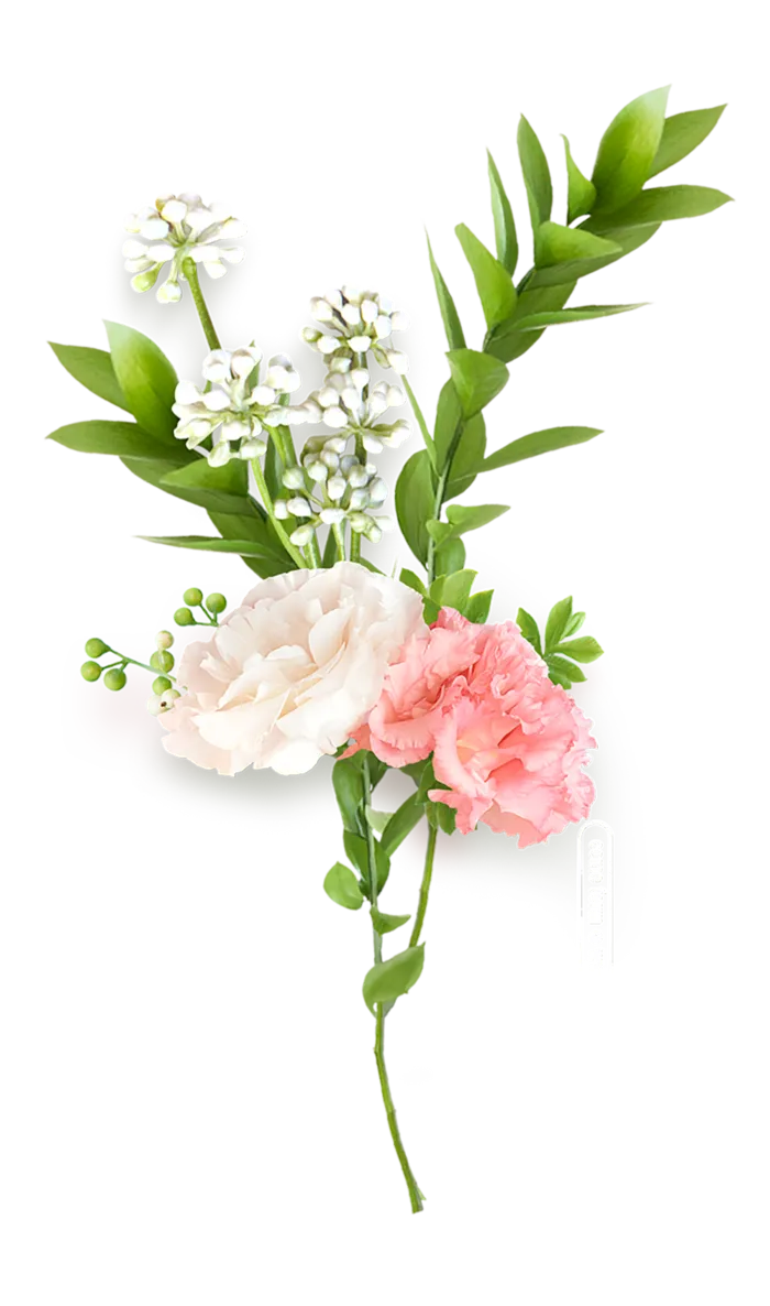 免抠鲜花树枝绿叶粉红花朵_PNG：