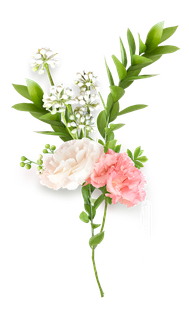 免抠鲜花树枝绿叶粉红花朵_PNG：