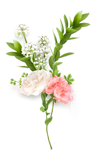 免抠鲜花树枝绿叶粉红花朵_PNG：